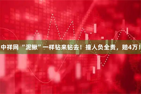 中祥网 “泥鳅”一样钻来钻去！撞人负全责，赔4万！